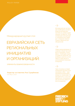 Evrazijskaja set' regional'nych iniciativ i organizacij